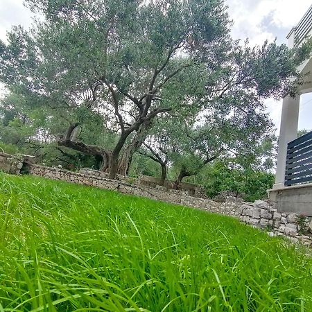 Vila Dolani Klek Dış mekan fotoğraf