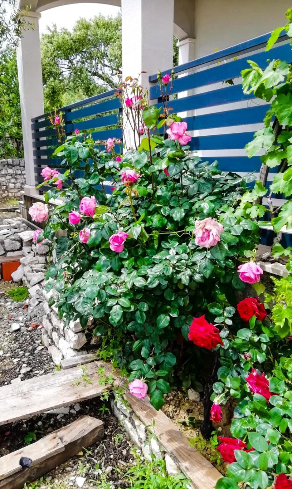 Vila Dolani Klek Dış mekan fotoğraf
