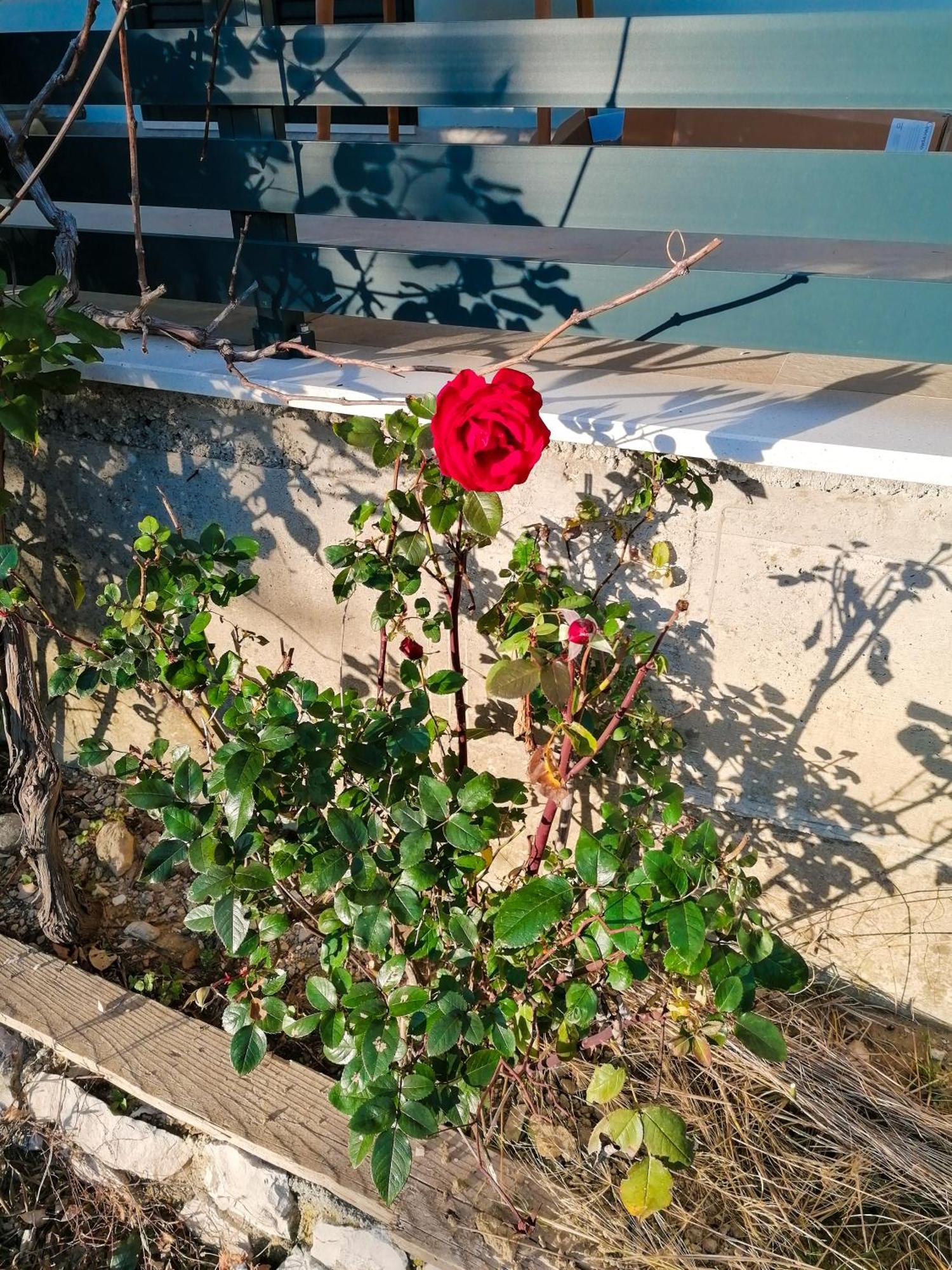 Vila Dolani Klek Dış mekan fotoğraf