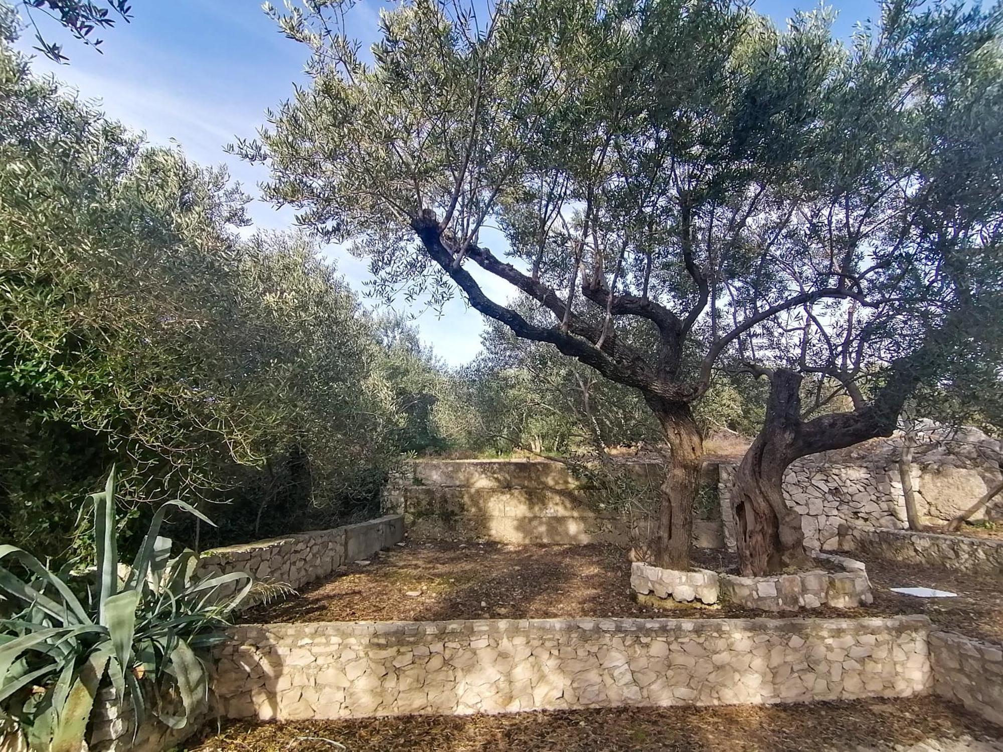 Vila Dolani Klek Dış mekan fotoğraf
