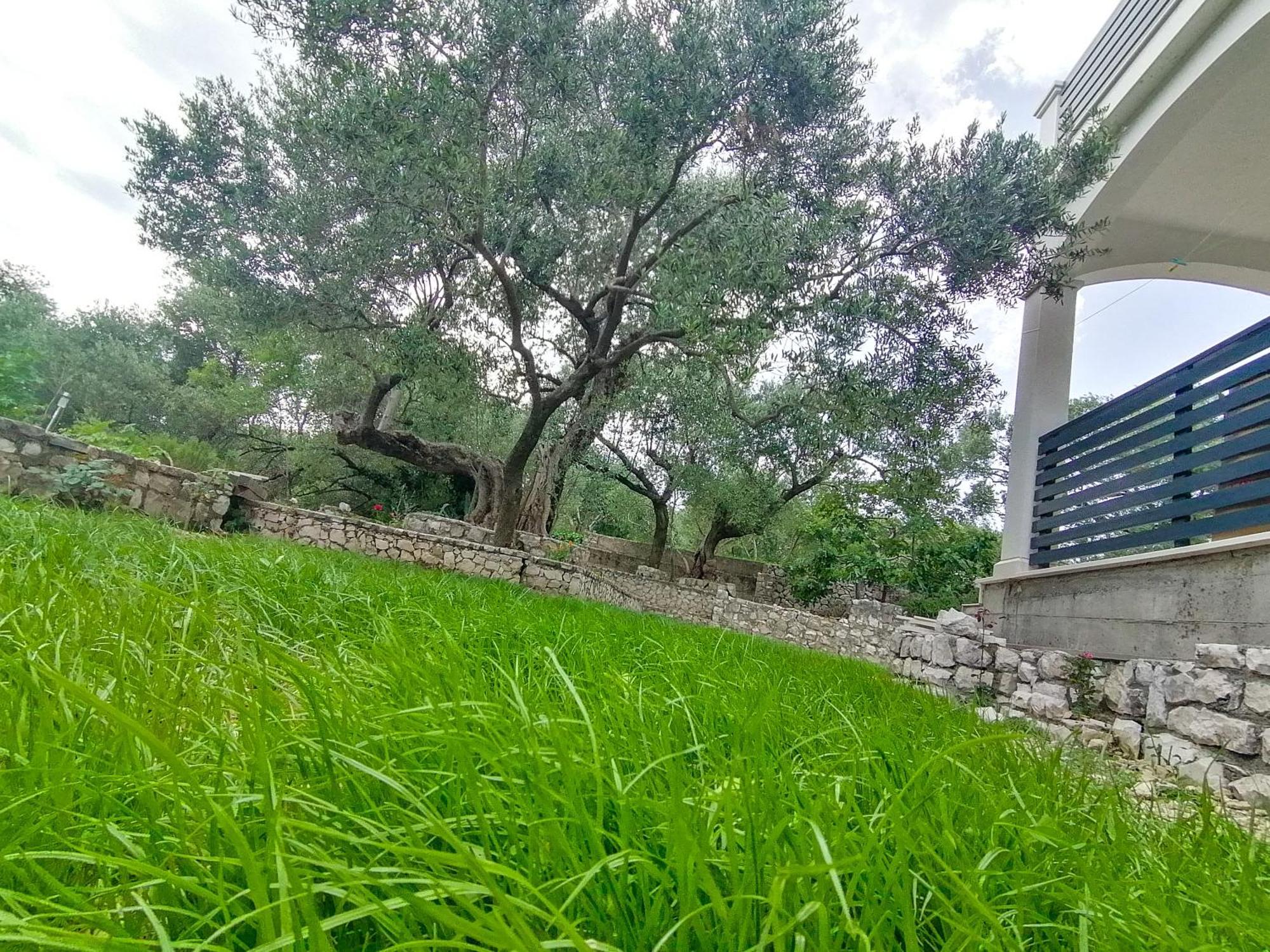 Vila Dolani Klek Dış mekan fotoğraf