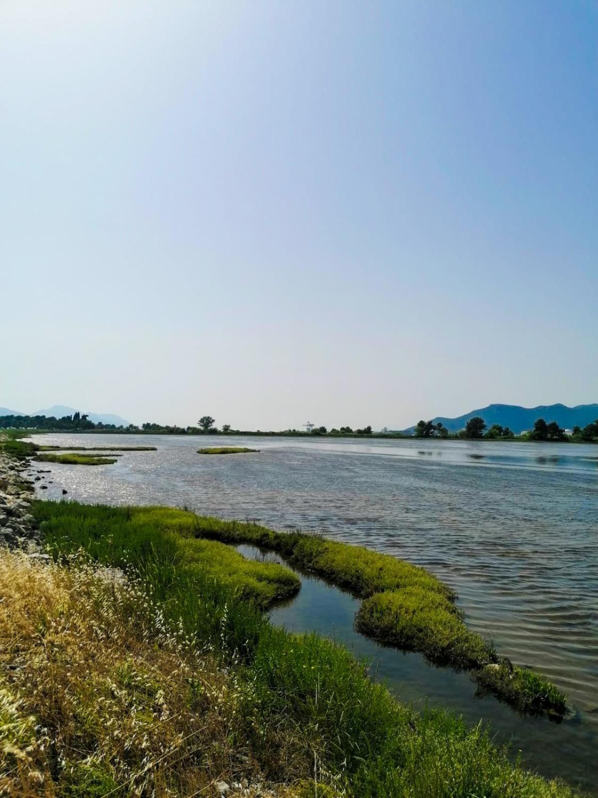 Vila Dolani Klek Oda fotoğraf